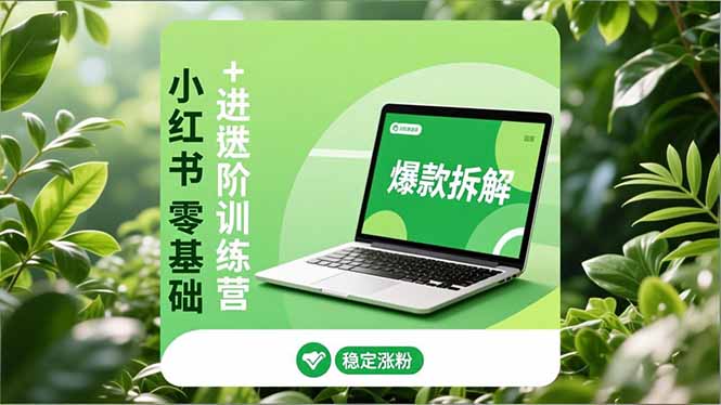 小红书零基础+高阶训练营:安全养号、爆款拆解、长效运营,实现稳定涨粉与变现-轻创网