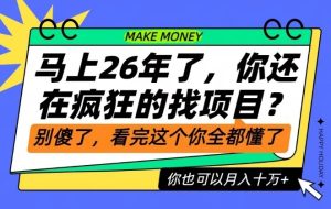 26年了,不要再疯狂的找项目了,看完这个你也可以月入十个W【揭秘】-轻创网