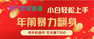 年前爆火项目，5天赚了7300-轻创网