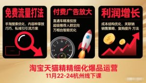 淘宝天猫精细化爆品运营11月22-24杭州线下课,免费流量打法+付费广告放大+利润增长(音频+文档)-轻创网