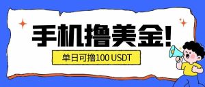 最新手机撸美金项目，单日产值100U+，2026年最新的风口项目-轻创网