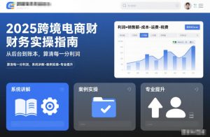 2025跨境电商财务实操指南，从后台到账本，算清每一分利润，系统讲解-案例实操-专业提升-轻创网