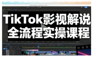 TikTok影视解说全流程实操，手把手教你打造TK爆款解说视频-轻创网