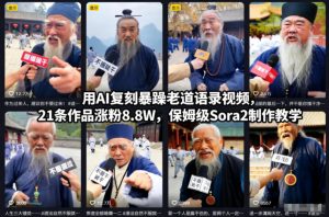 用AI复刻暴躁老道语录视频,21条作品涨粉8.8W,保姆级Sora2制作教学-轻创网