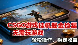 CSGO游戏挂G掘金捡漏,不需要玩游戏,操作简单,收益稳定【揭秘】-轻创网