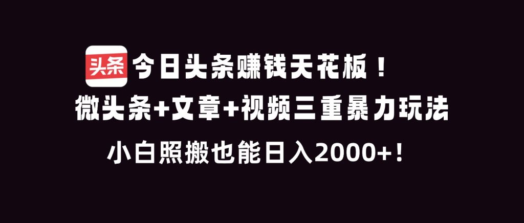 今日头条赚钱天花板!微头条+文章+视频三重暴利玩法,小白照搬也能日人2000+-轻创网