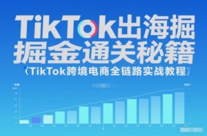 TikTok出海掘金通关秘籍,TikTok跨境电商全链路实战教程-轻创网