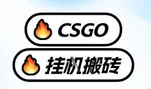 真全网独家CSGO挂G，最新玩法,单日捡漏1K+，不用电脑，不用打游戏【揭秘】-轻创网