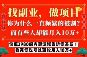 价值3980的网创内部课程，告诉你互联网创业月入10个W的秘密【揭秘】-轻创网