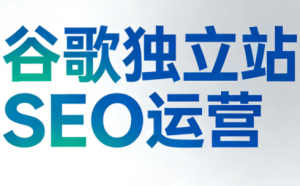 谷歌独立站SEO运营(更新2026)-轻创网