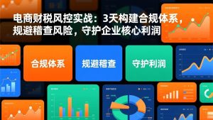 电商财税风控实战：3天构建合规体系，规避稽查风险，守护企业核心利润-轻创网