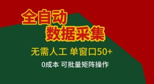 全自动数据采集，无需人工，单窗口50+，0成本可批量矩阵操作【揭秘】-轻创网