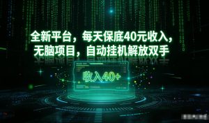 最新看广平台，每天保底30-4米，无脑项目，自动挂G解放双手【揭秘】-轻创网