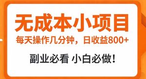 无成本小项目 每天操作几分钟，真实日收益800+ 副业必看 小白必做！-轻创网