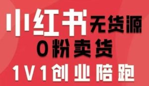 小红书无货源0粉电商课，开店准备、选品策略、笔记撰写、视频剪辑、数据分析、账号打造、资料文档(更新26年1月)-轻创网