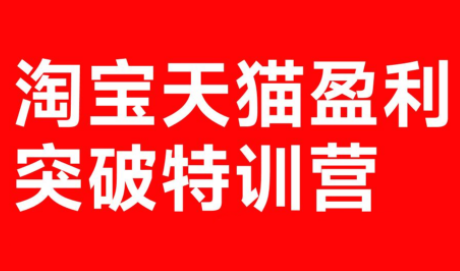 玺承·淘宝天猫盈利突破特训营(25年12月线下课)【音频+字幕】-轻创网