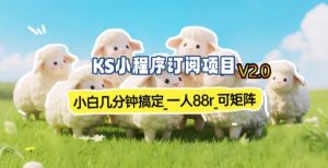 【新一期】小程序订阅_小白几分钟70-80r，可矩阵(已测到账)-轻创网