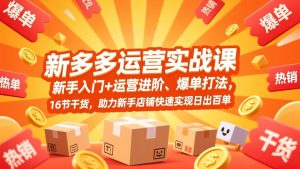拼多多运营实战课，新手入门+运营进阶、爆单打法，16节干货，助力新手店铺快速实现日出百单-轻创网