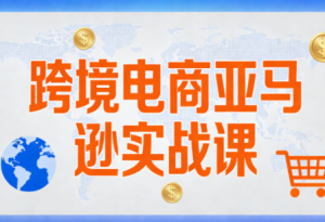 丝丝老师·跨境电商亚马逊实战课(更新2月)-轻创网