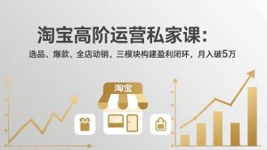 淘宝高阶运营私家课：选品、爆款、全店动销，三模块构建盈利闭环，月入破5万(更新26年2月-轻创网