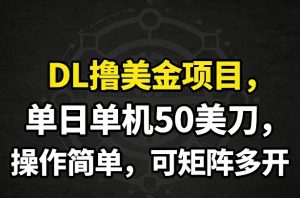 DL撸美金项目，单日单机50美刀，操作简单，可矩阵多开-轻创网