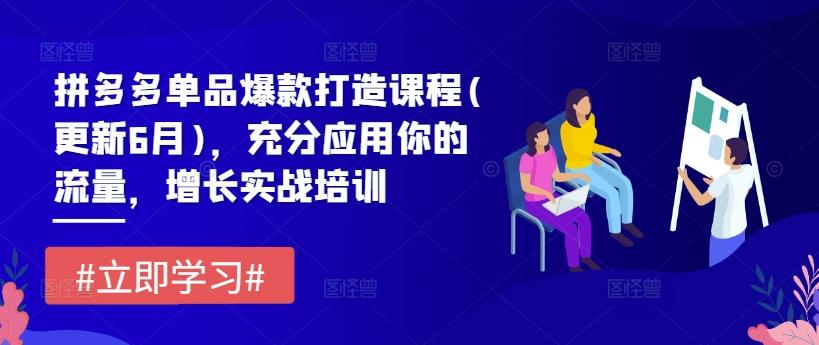 拼多多单品爆款打造课程(更新6月)，充分应用你的流量，增长实战培训-轻创网