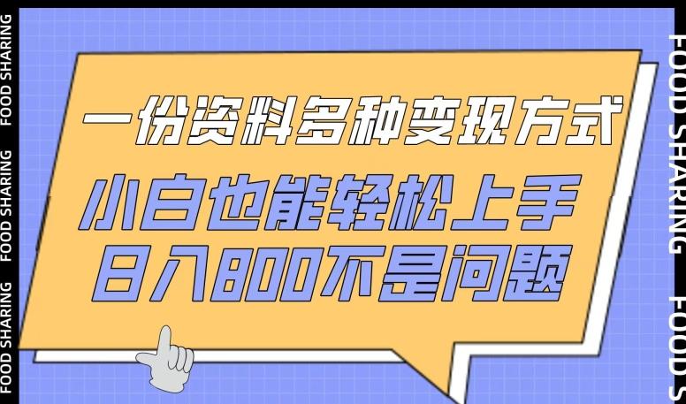 一份资料多种变现方式，小白也能轻松上手，日入800不是问题【揭秘】-轻创网