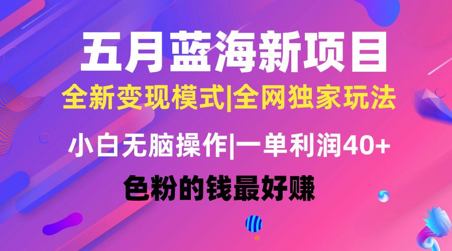 五月蓝海项目全新玩法，小白无脑操作，一天几分钟，矩阵操作，月入4万+-轻创网