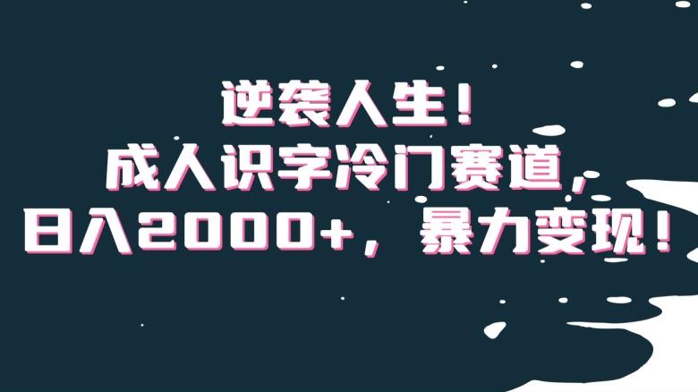 逆袭人生！成人识字冷门赛道，日入2000+，暴力变现！【揭秘】-轻创网