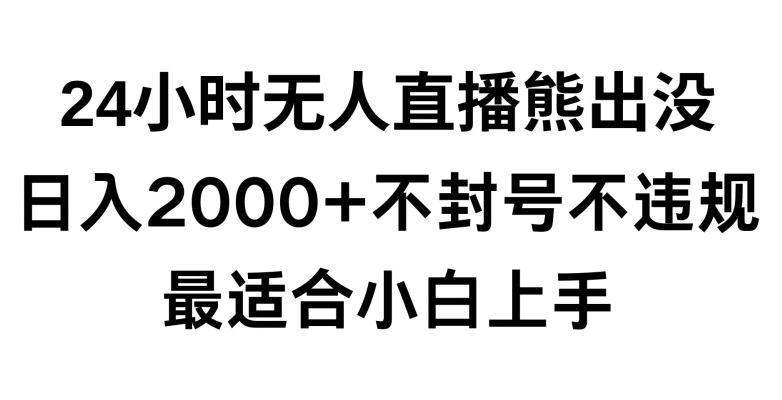 快手24小时无人直播熊出没，不封直播间，不违规，日入2000+，最适合小白上手，保姆式教学【揭秘】-轻创网