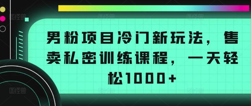 男粉项目冷门新玩法，售卖私密训练课程，一天轻松1000+【揭秘】-轻创网