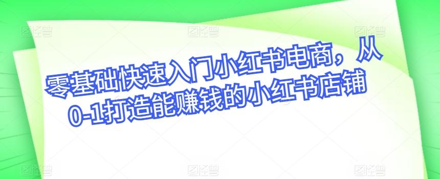 零基础快速入门小红书电商，从0-1打造能赚钱的小红书店铺-轻创网