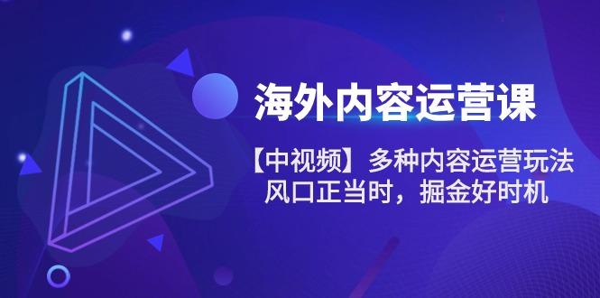 海外内容 运营课【中视频】多种内容运营玩法 风口正当时 掘金好时机-101节-轻创网