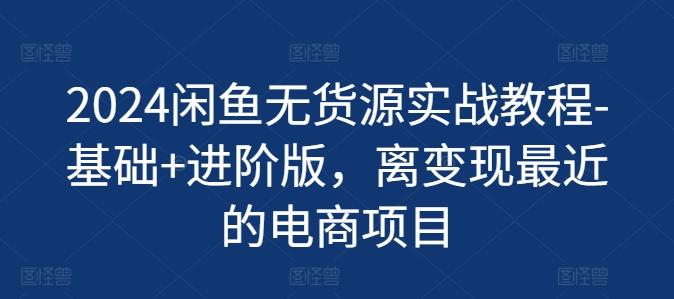 2024闲鱼无货源实战教程-基础+进阶版，离变现最近的电商项目-轻创网