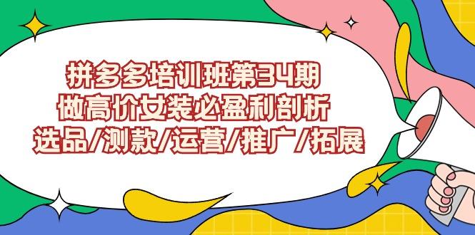 (9333期)拼多多培训班第34期：做高价女装必盈利剖析  选品/测款/运营/推广/拓展-轻创网