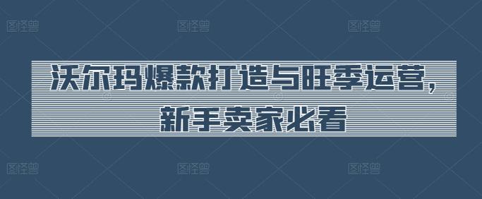 沃尔玛爆款打造与旺季运营，新手卖家必看-轻创网