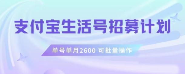 支付宝生活号作者招募计划，单号单月2600，可批量去做，工作室一人一个月轻松1w+【揭秘】-轻创网