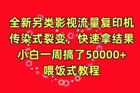 全新另类影视流量复印机，传染式裂变，快速拿结果，小白一周搞了50000+，喂饭式教程【揭秘】-轻创网