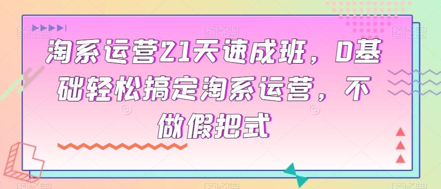 淘系运营21天速成班，0基础轻松搞定淘系运营，不做假把式-轻创网
