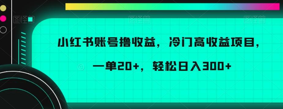 小红书账号撸收益，冷门高收益项目，一单20+，轻松日入300+【揭秘】-轻创网