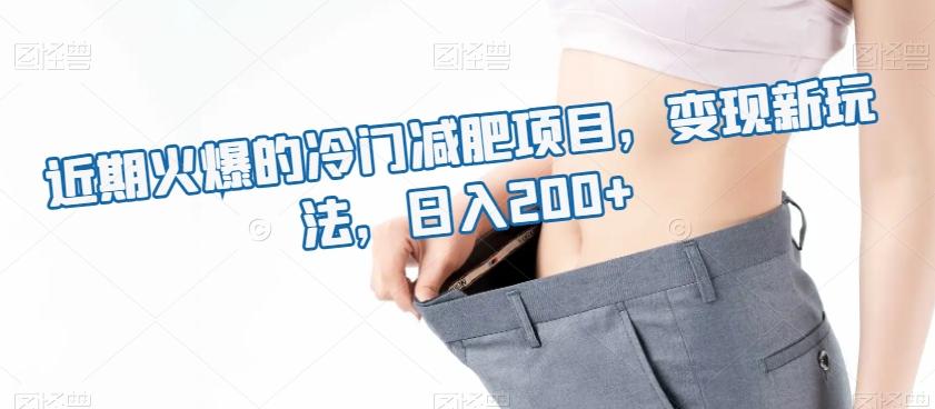 近期火爆的冷门减肥项目，变现新玩法，日入200+-轻创网