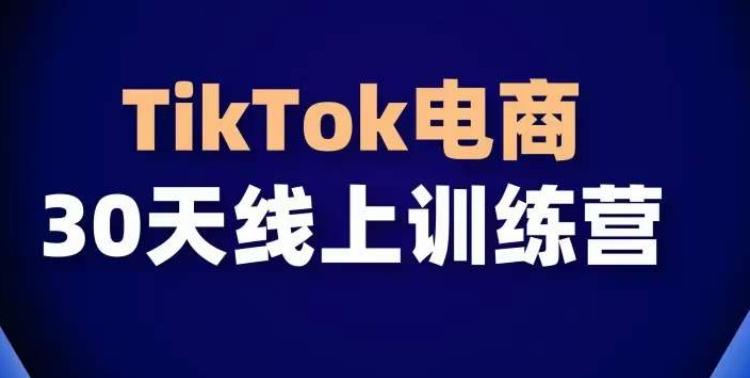 TikTok电商带货30天线上课，不可错过的全球流量洼地！-轻创网