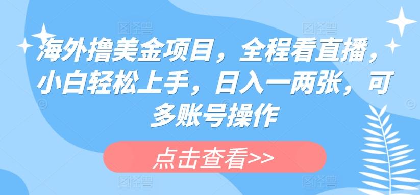 海外撸美金项目，全程看直播，小白轻松上手，日入一两张，可多账号操作【揭秘】-轻创网
