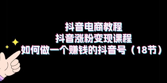 抖音电商教程：抖音涨粉变现课程：如何做一个赚钱的抖音号(18节-轻创网