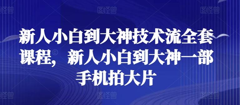 新人小白到大神技术流全套课程，新人小白到大神一部手机拍大片-轻创网