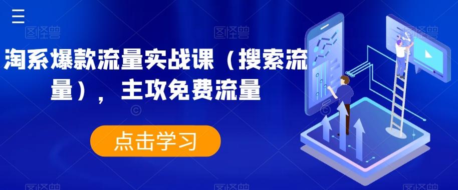 淘系爆款流量实战课（搜索流量），主攻免费流量-轻创网