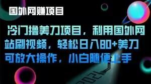 冷门撸美刀项目，利用国外网站刷视频，轻松日入80+美刀，可放大操作，小白随便上手-轻创网