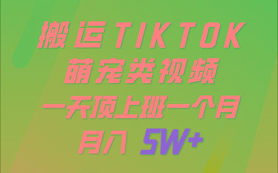 一键搬运TIKTOK萌宠类视频，一部手机即可操作，所有平台均可发布 轻松月入5W+-轻创网