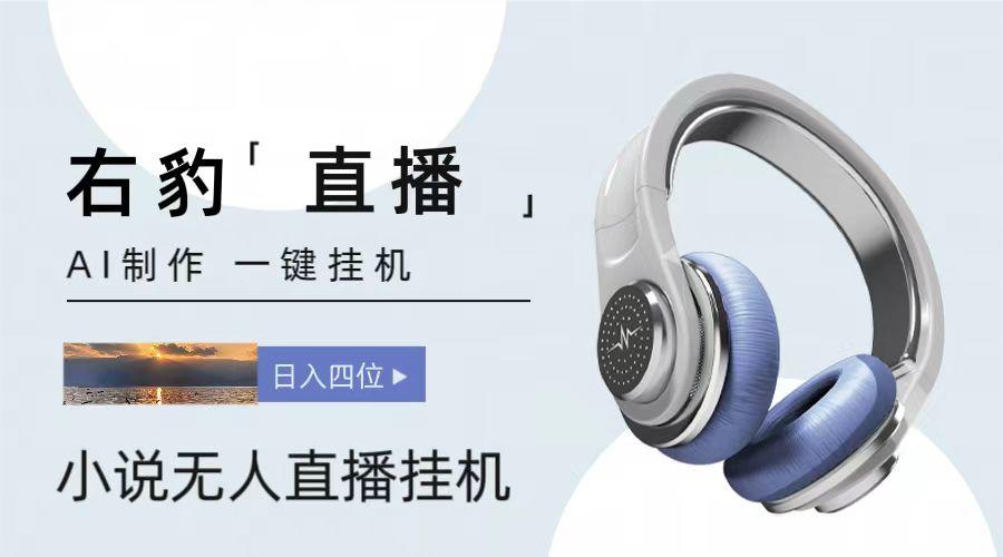 右豹小说无人直播挂机吸金项目，简单易行收益稳定， 月入1000+-轻创网