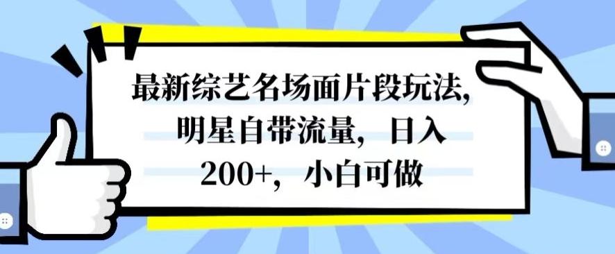 最新综艺名场面片段玩法，明星自带流量，日入200+，小白可做【揭秘】-轻创网
